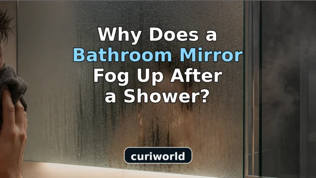 Why Does a Bathroom Mirror Fog Up After a Shower?
