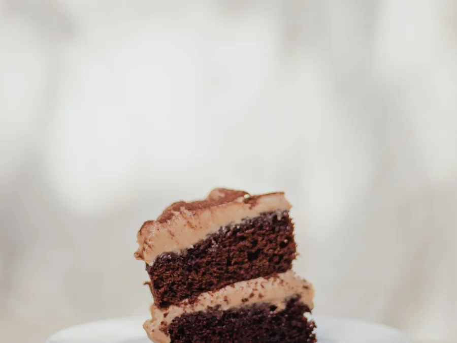 Slice of chocolate cake.