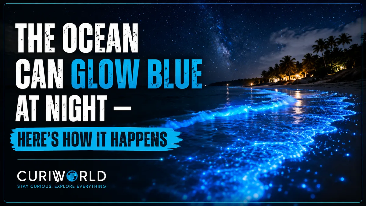 Blue bioluminescent waves glowing across the shoreline under a dark night sky