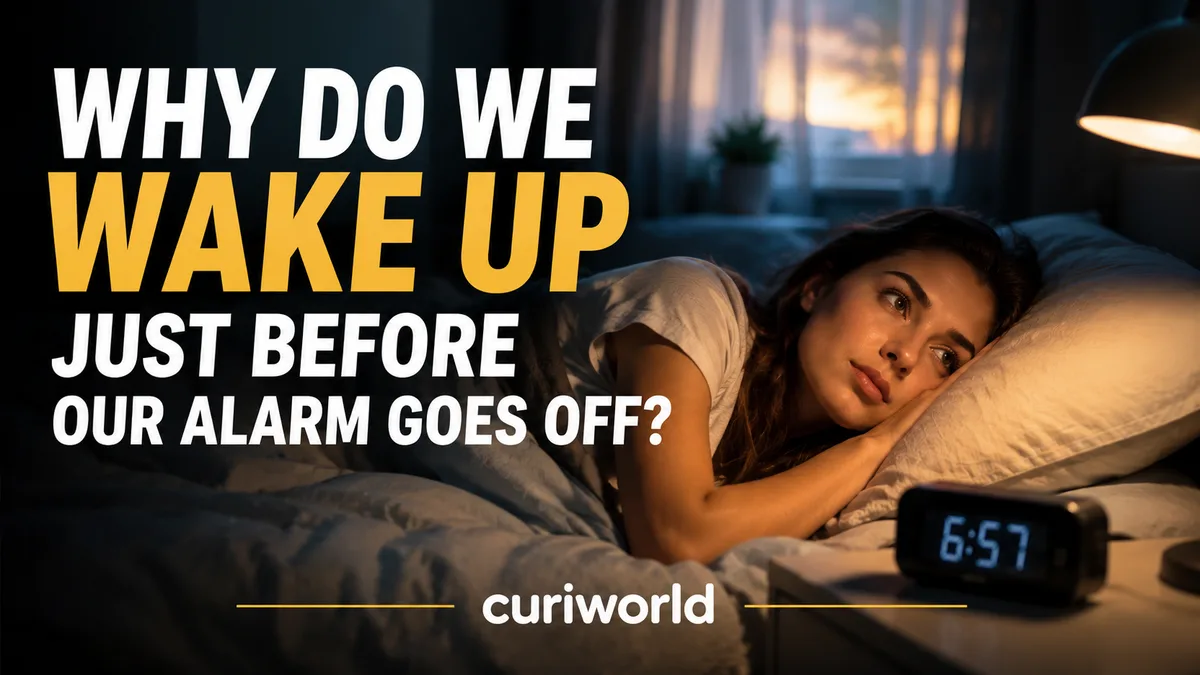 A sleeping person as early morning light begins to enter the bedroom