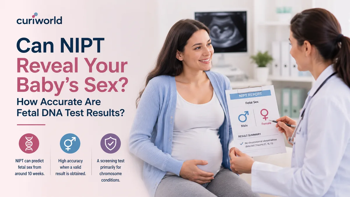 Healthcare professional reviewing NIPT results and fetal sex information with a pregnant woman.
