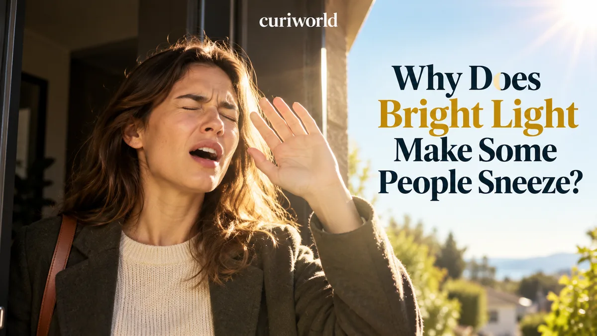 Person about to sneeze after stepping into bright sunlight